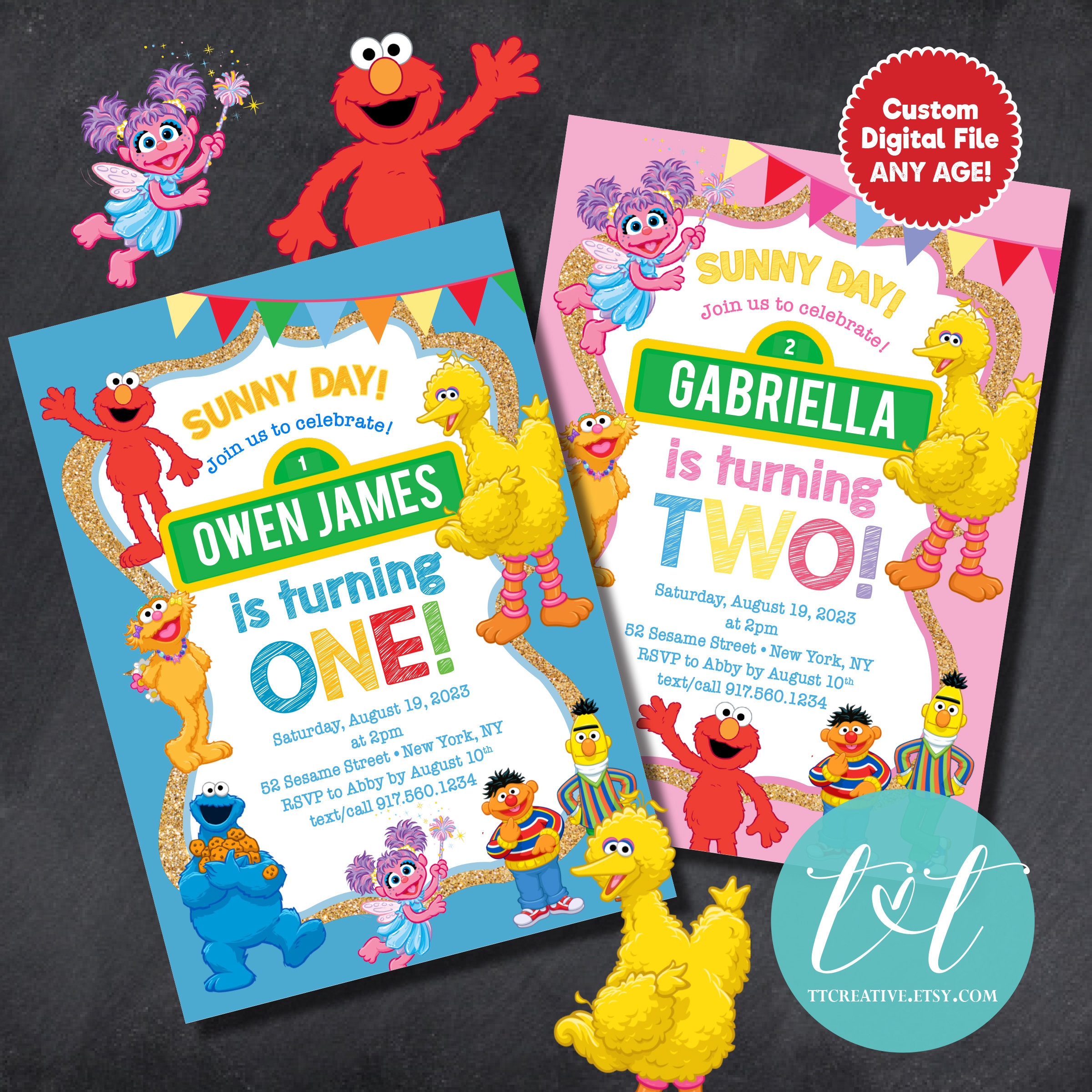 1st 2nd 3rd 4th Birthday Party Invitation Custom DIGITAL FILE ONLY Elmo Birthday Sesame Theme