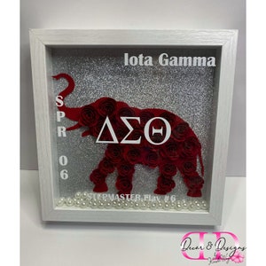 Sorority Theme Shadow Box