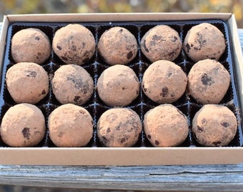 Vegan Espresso Almond Bliss Balls Truffles Gift Box for Valentine's Day (Gluten-free, Sugar-free, Raw, Natural, Dairy-free, Energy Balls)