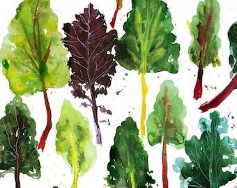 Swiss Chard, hand painted water color, garden painting, archival print, gardener, kitchen print, home decor