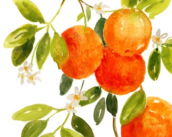 Orange watercolor painting, original watercolor art, citrus wall decor, kitchen decor