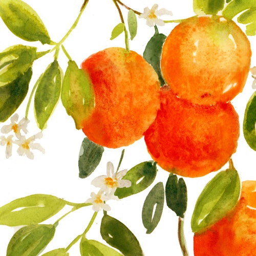 Orange Watercolor Painting Original Watercolor Art Citrus Etsy