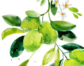 Lime branch watercolor artwork, lime original painting, citrus art, kitchen decor