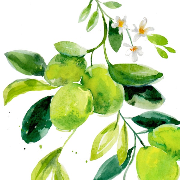 Lime branch watercolor artwork, lime original painting, citrus art, kitchen decor