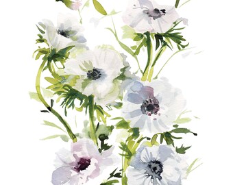 Anemone Flower Study
