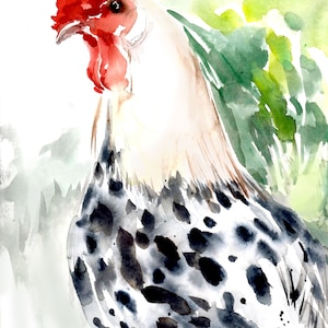 Silver Spangled Hamburg, original watercolor art, chicken print, animal art