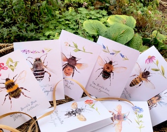 Card Set of 8 including 8 bee varieties