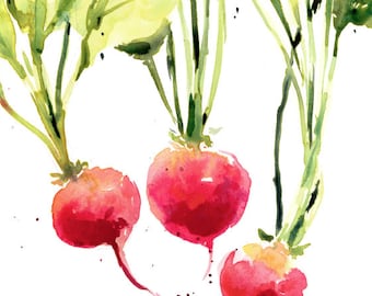 Radishes, original hand painted water color design inspired from pickings from my backyard garden.