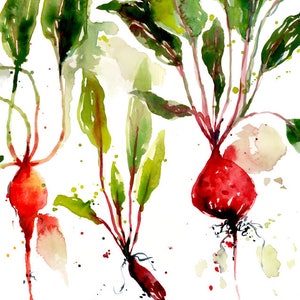 Beets, original watercolor artwork, hand painted art, food art, gift for gardener