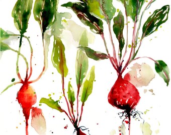 Beets, original watercolor artwork, hand painted art, food art, gift for gardener