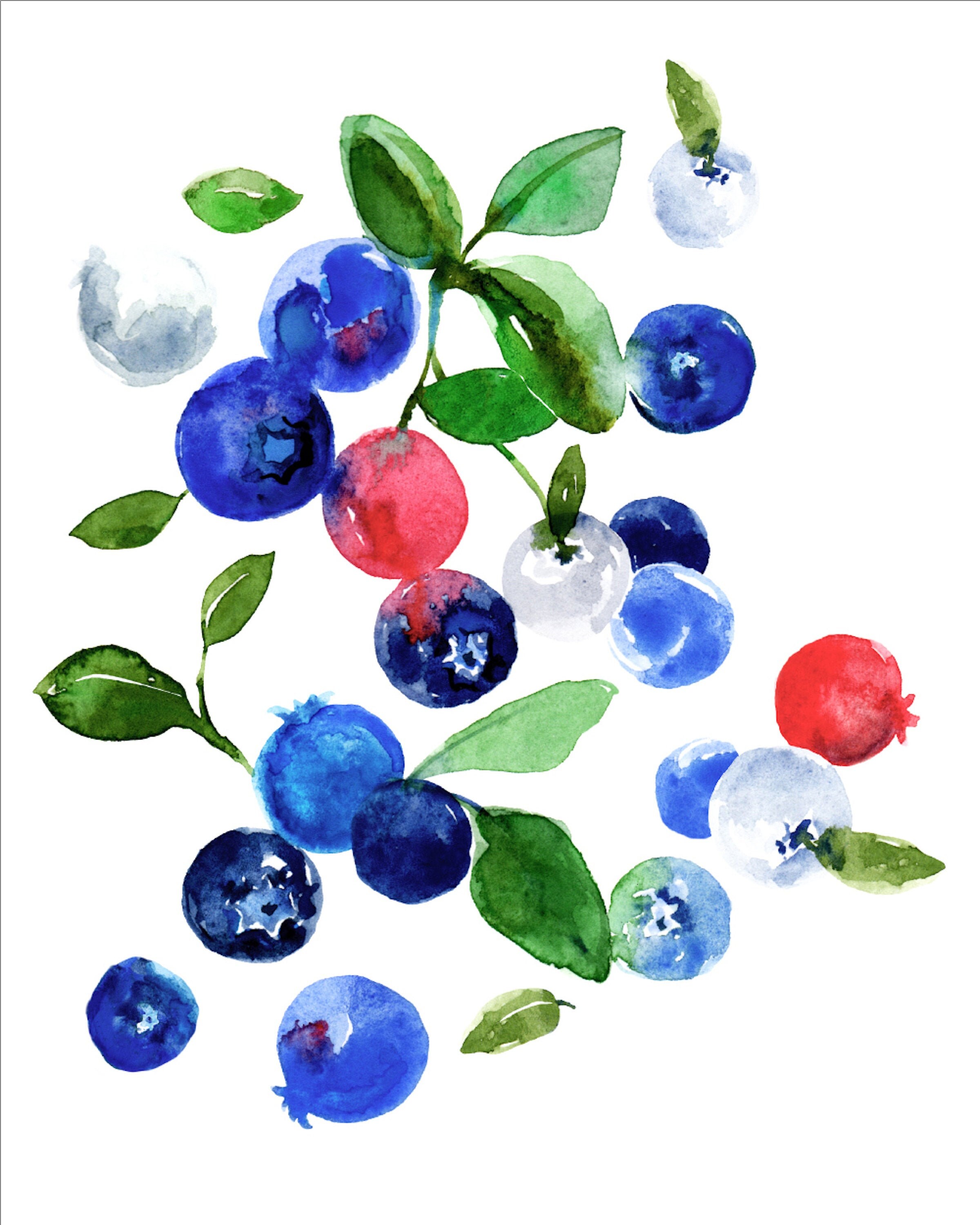 Blueberry Bliss, Blueberries, Blueberry, Art Print, Watercolor Art