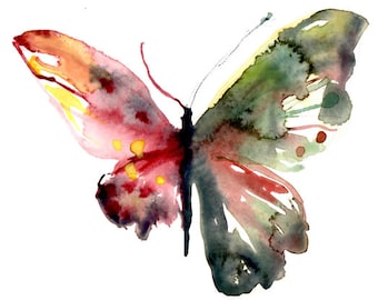 Anomaly Butterfly, Butterflies, Butterfly Art