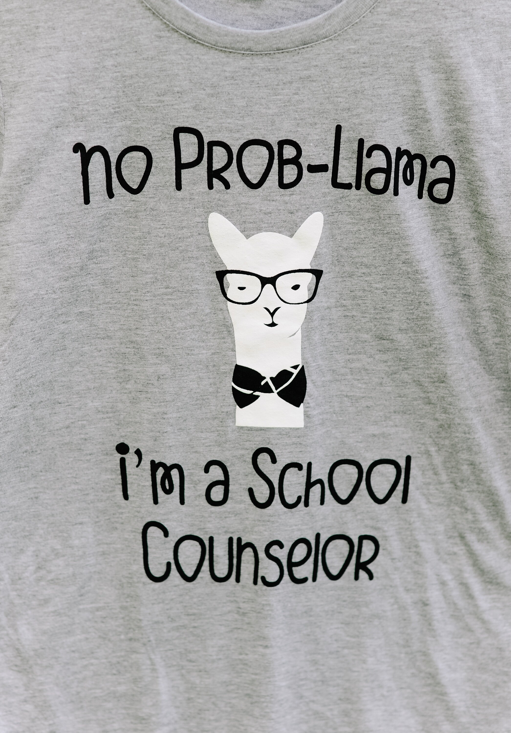 No Prob-llama I'm a School Counselor Ladies T-shirt - Etsy