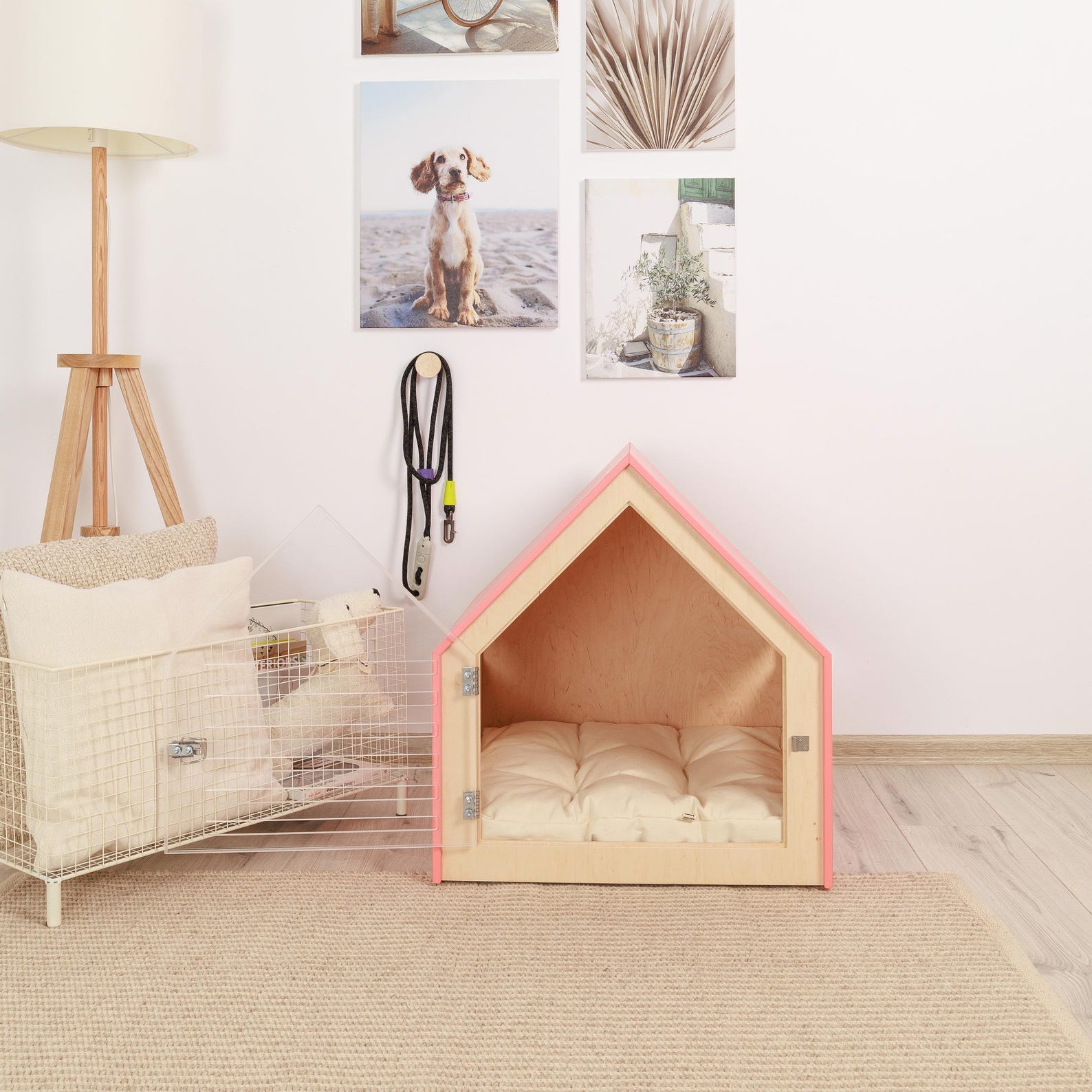 Picture of Dog Crate With Acrylic Door and Cotton Cushion Petso. Dog Crate ...