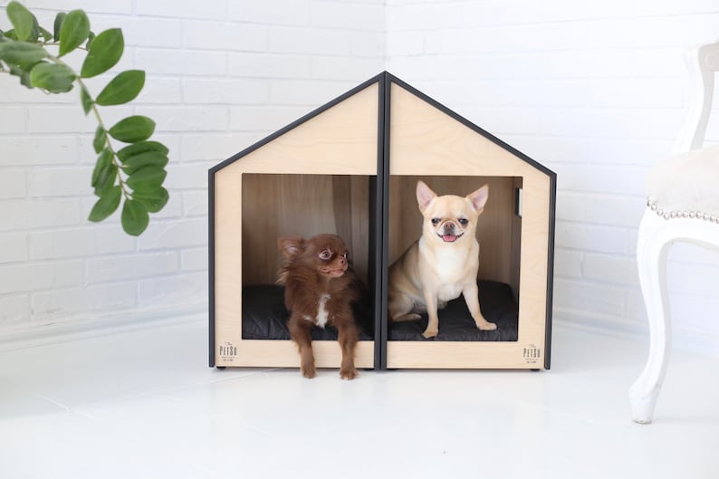 K&ouml;nnte beinhalten: Zwei kleine Hunde, ein brauner Chihuahua und ein cremefarbener Chihuahua, sitzen in einem h&ouml;lzernen Hundehaus mit zwei separaten Abteilen. Das Hundehaus ist aus hellem Holz mit schwarzen Verzierungen und dem Text "PETRO" am Boden jedes Abteils.