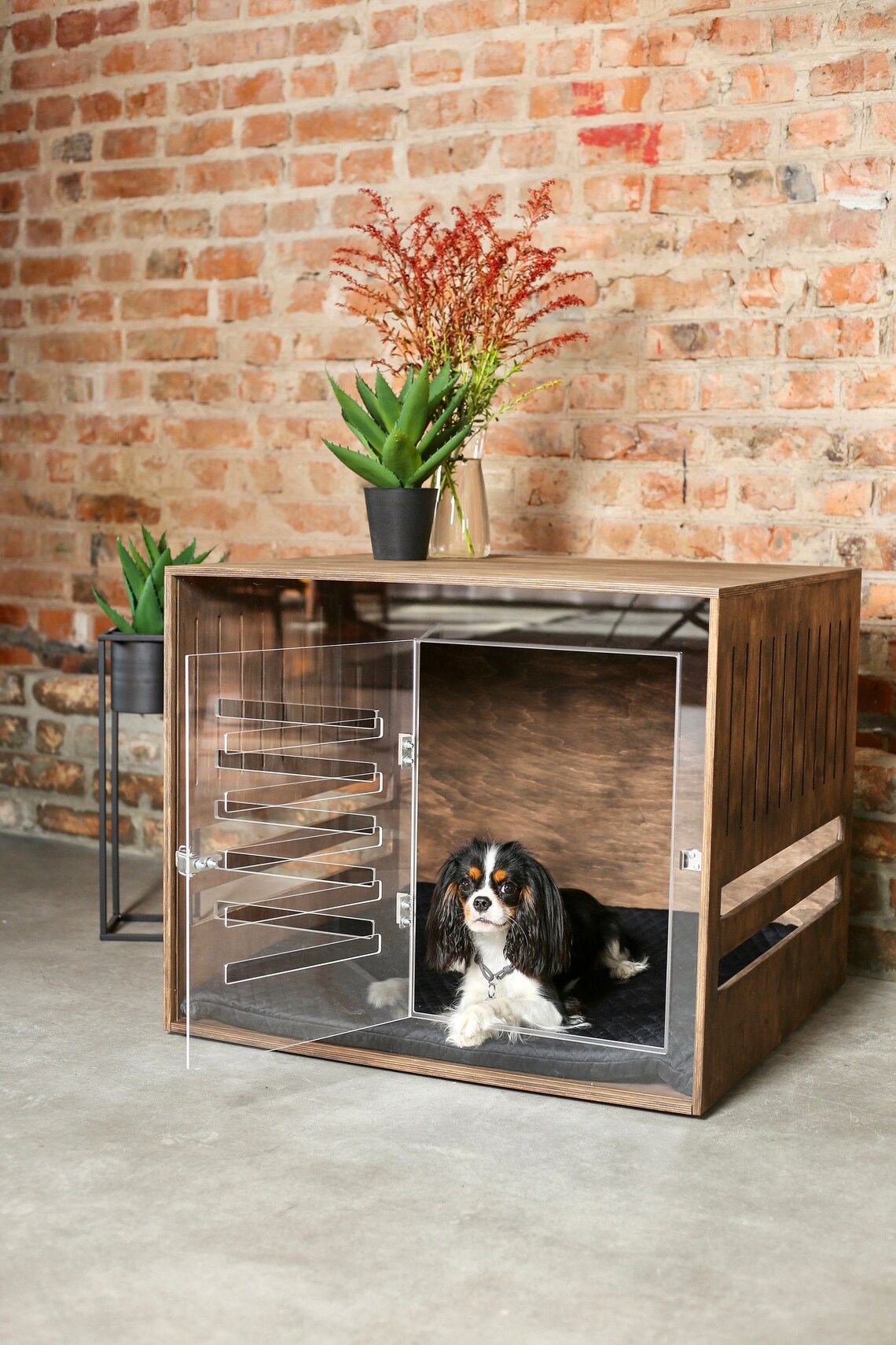 Wooden Dog Crate With Acrylic Front Panel and Door With a Etsy