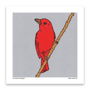 Piranga estiva - Stampa artistica