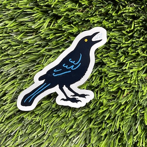 Grackle - Sticker - Bird - Austin - Texas - Crow Raven