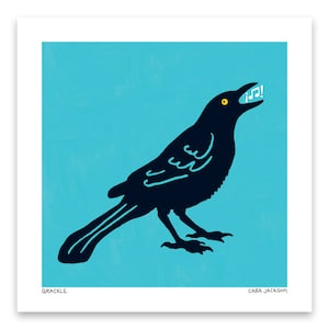 Grackle - Art Print