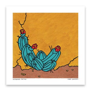 Cactus riccio - Stampa artistica