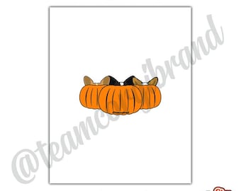 Corgis with pumpkins