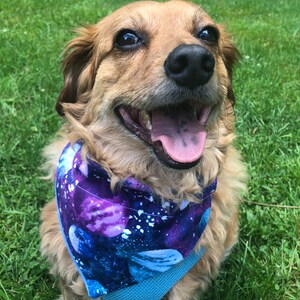 Galaxy reversible bandana for dogs and cats. slide on/over the collar. with or without saying!