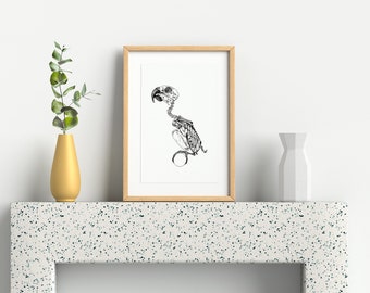 May include: A black and white line drawing of a parrot skeleton in a wooden frame on a white shelf with a gold vase and a white vase.