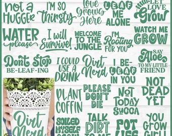 Potted Plants SVG Bundle, png, Plant Pot svg, Plant mom svg, Plant Lady svg, Succulent svg, House Plants svg, Flowers svg, Cut File