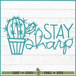 Archivo SVG de cactus Stay Sharp, dxf, eps, png, svg suculento, svg de cactus, svg de maestro, archivo de corte, svg de Cricut, svg de silueta, descargar
