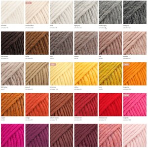 May include: A color chart of yarn samples in various shades of white, brown, beige, yellow, orange, red, pink, and purple. The yarn is arranged in a grid pattern with each color labeled with its name and corresponding color number.