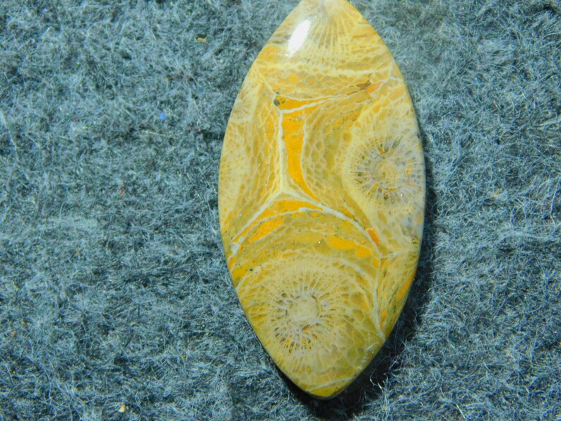 #3540 mm 46 x 24 Natural Moroccan Fossil coral cabochons,Gemstone,loose stone Natural Handmade Gemstone Top quality loose 55 ct