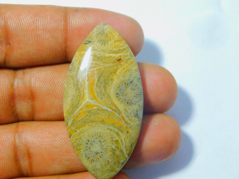 #3540 mm 46 x 24 Natural Moroccan Fossil coral cabochons,Gemstone,loose stone Natural Handmade Gemstone Top quality loose 55 ct