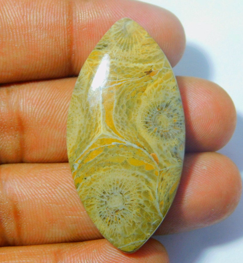 #3540 mm 46 x 24 Natural Moroccan Fossil coral cabochons,Gemstone,loose stone Natural Handmade Gemstone Top quality loose 55 ct