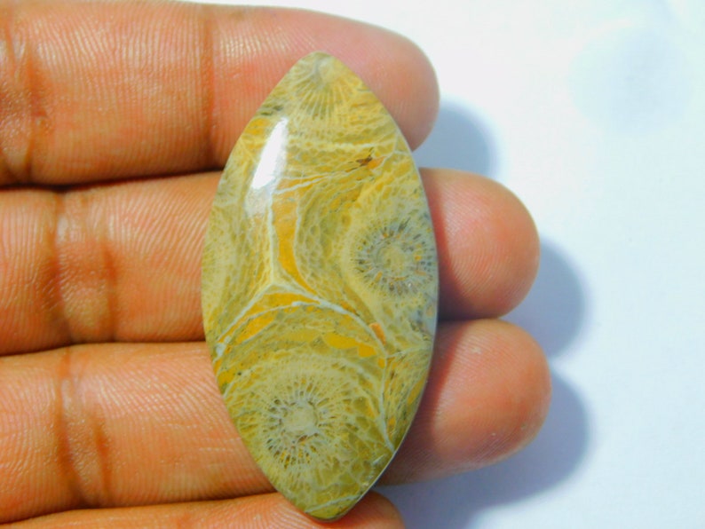 #3540 mm 46 x 24 Natural Moroccan Fossil coral cabochons,Gemstone,loose stone Natural Handmade Gemstone Top quality loose 55 ct