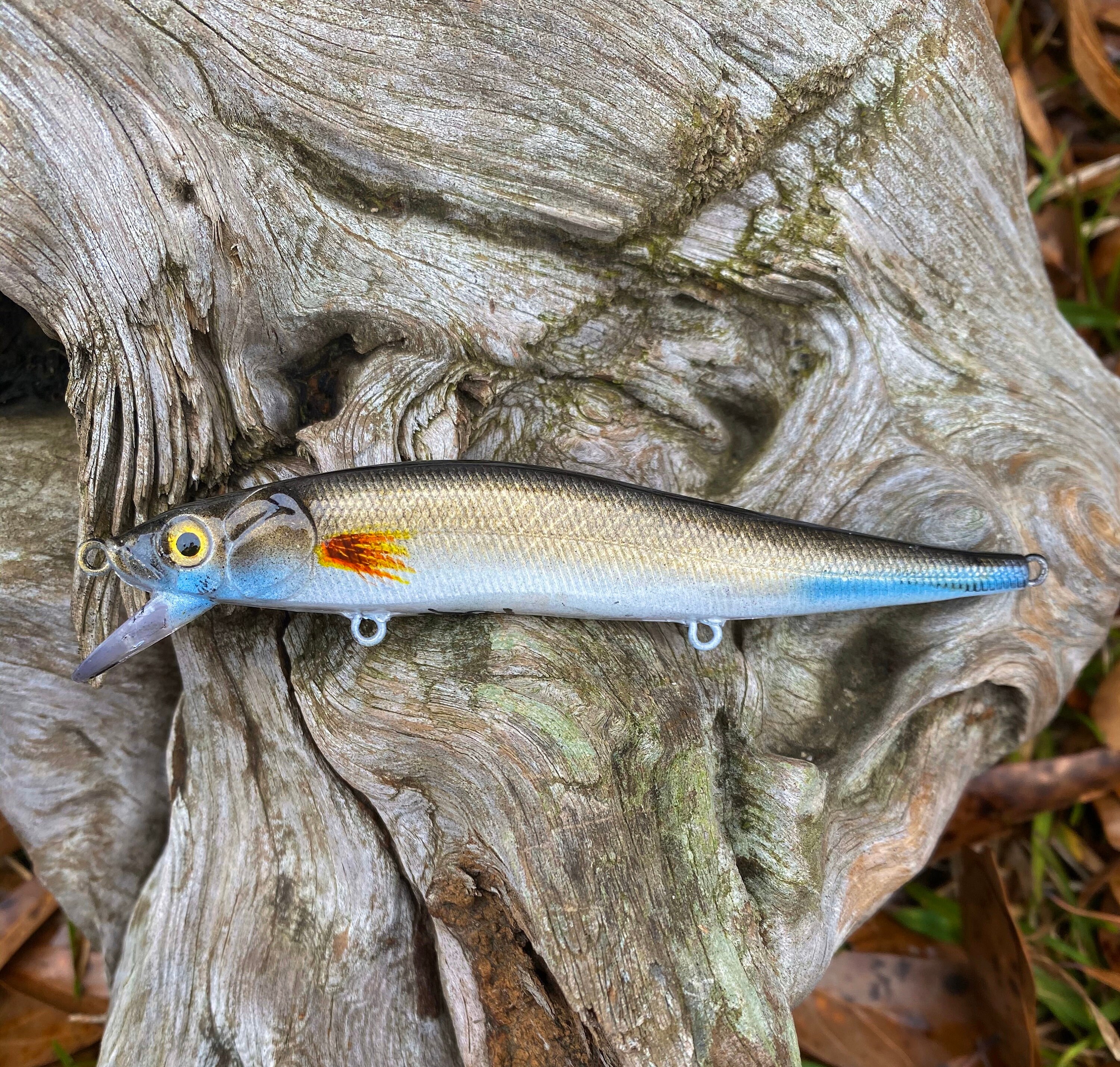 Free Free 306 Fishing Lure Gills Svg SVG PNG EPS DXF File