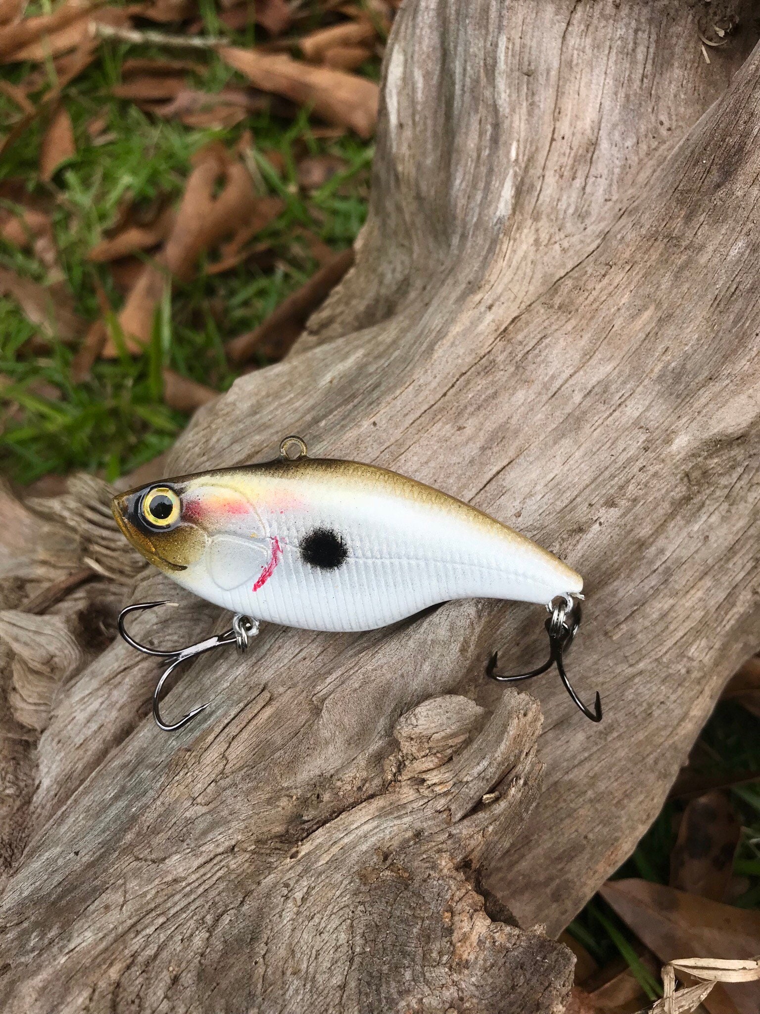 Custom Painted MOJO Lipless Crankbait | Etsy