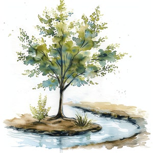Albero sull'acqua PNG Clipart Bundle - 50 PNG di alta qualità - Download immediato - Calendario, carta, tazza, tumbler, design PNG
