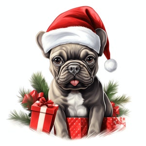 Kerst Franse Bulldog PNG Clipart Bundel - 50 Hoge kwaliteit PNG - Instant Download - Kalenderkaart Mok Tumbler Sublimatie Design PNG