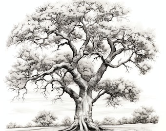 Line Art Tree PNG Clipart Bundle - 40 High Quality PNG - Instant Download - Card Making, Printable Art, Digital Paper PNG, Oak Maple Birch