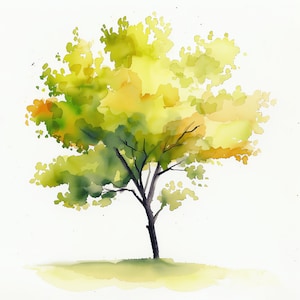 Kleine boom PNG Clipart bundel - 51 hoge kwaliteit PNG - direct downloaden - kalenderkaart mok beker Tumbler Tshirt sublimatie ontwerp PNG