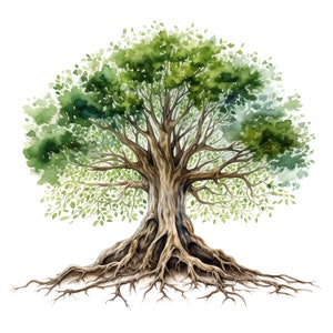 Clipart di albero con radici - 40 JPG di alta qualità - Download digitale - Creazione di biglietti, tecniche miste, artigianato digitale con carta