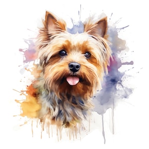 Yorkshire Terrier Clipart - 50 High Quality JPGs - Digital Download - Card Making, Mixed Media, Digital Paper Craft