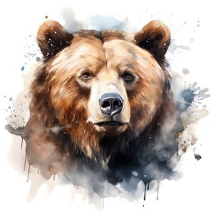 Clipart animaux de la forêt - 40 fichiers JPG de haute qualité - téléchargement numérique - fabrication de cartes, techniques mixtes, création numérique en papier