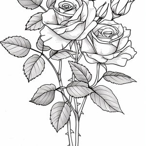 Flower Bouquet Coloring Pages PDF Bundle - 44 High Quality Images - Instant Download - Coloring Pages, Printable Art, Adult Coloring