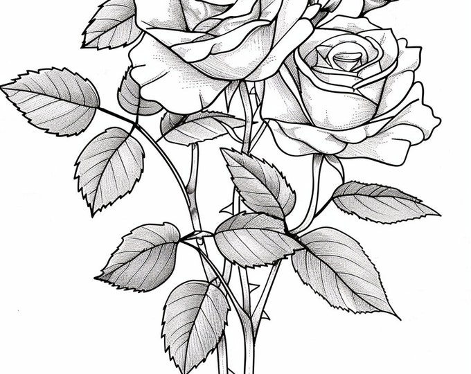 Flower Bouquet Coloring Pages PDF Bundle 44 High Quality Images Instant ...