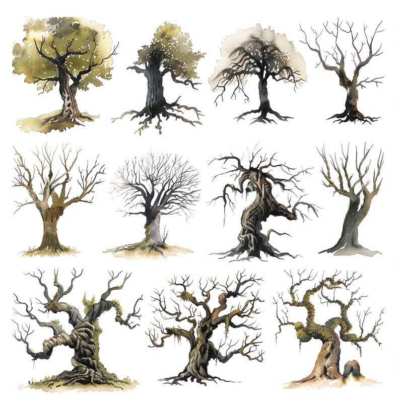 Tree Growth Progress PNG Clipart Bundle - 47 High Quality PNG - Instant ...