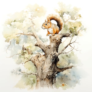 Watercolor Oak Tree and Squirrel PNG Clipart - 50 High Quality PNG - Instant Download - Printable Art, Digital Paper - Squirrel Tree PNG