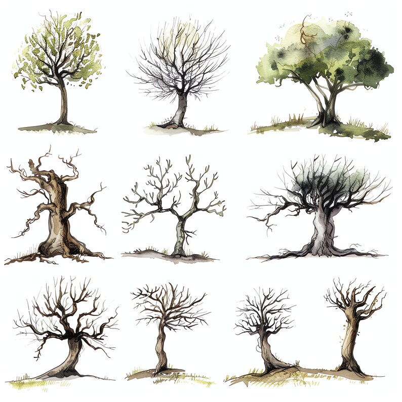 Tree Growth Progress PNG Clipart Bundle - 47 High Quality PNG - Instant ...