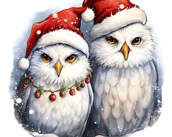 Christmas Owls PNG Clipart Bundle - 48 High Quality PNG - Instant Download - Card Making, Printable Art, Digital Paper PNG - Santa's Hat Owl