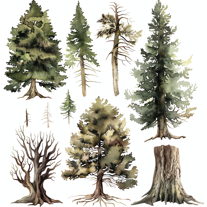 Tree Growth Progress PNG Clipart Bundle - 47 High Quality PNG - Instant ...